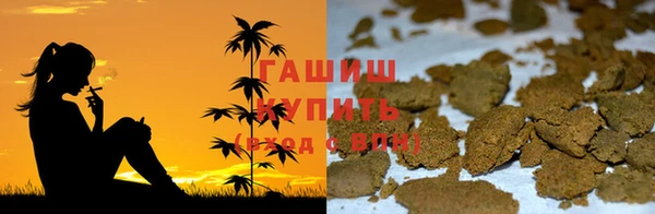гидра Ельня