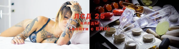 герыч Зерноград