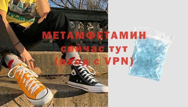 гидра Ельня